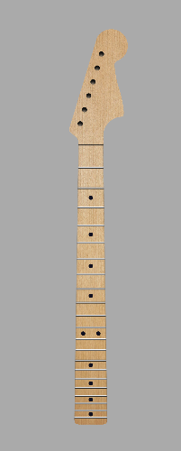 Standard Scale 25.5" Neck